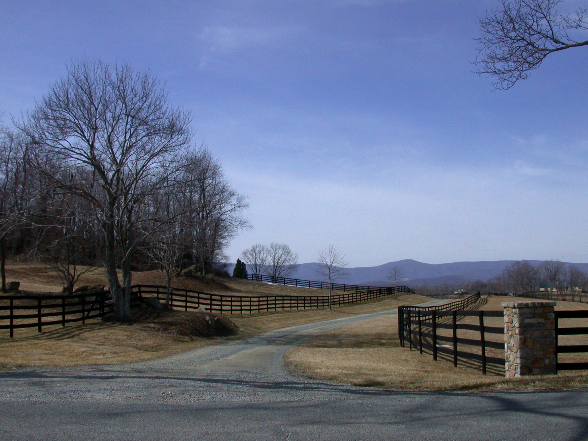 Driveway.JPG