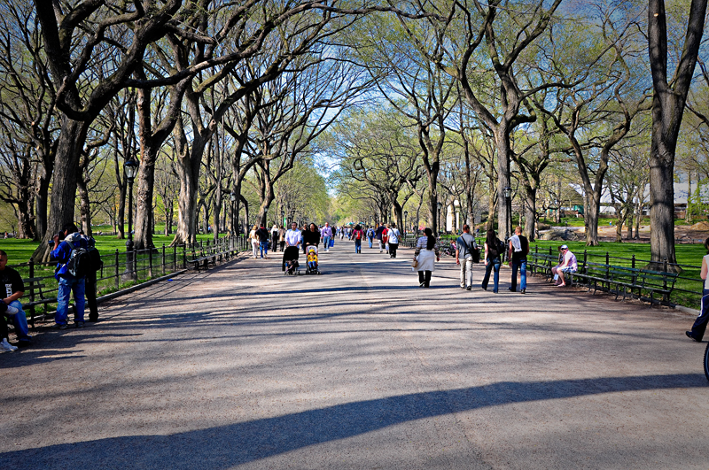 Central Park