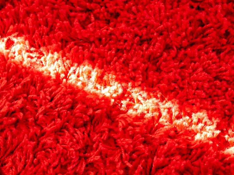 2011-03-21 Sun on carpet