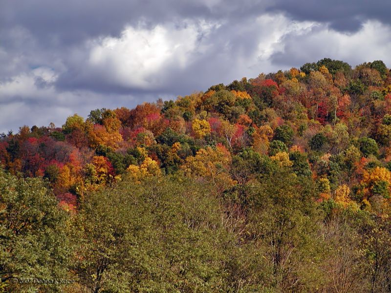 Sun highlights the colors of the hillside.