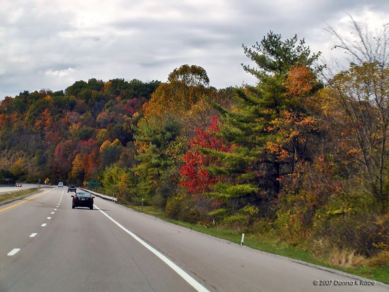 Doddridge Co?