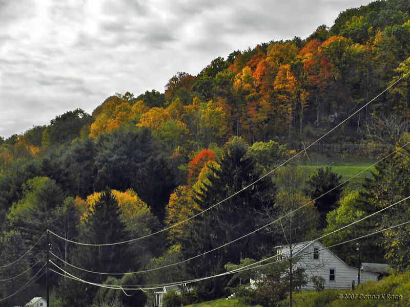 Natural Painting with Light