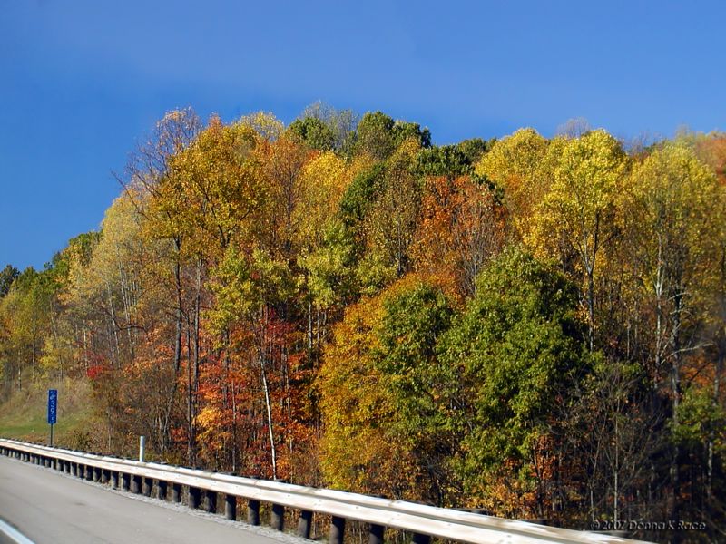 More Color on the way to Pennsboro