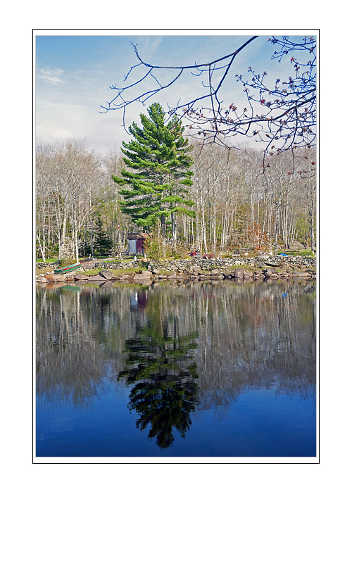 Reflection