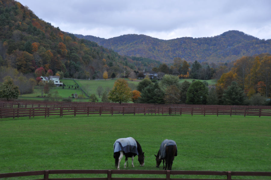 Boone, NC area