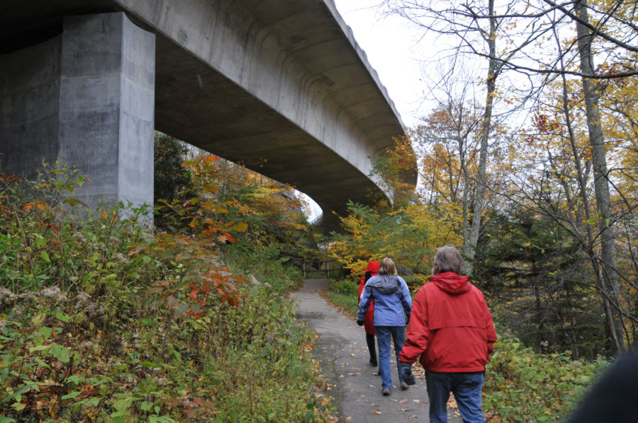 Under the Lynn Cove Viaduct on the Blue Ridge Parkway
