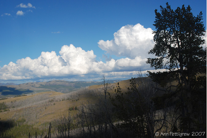 Yellowstone Sky