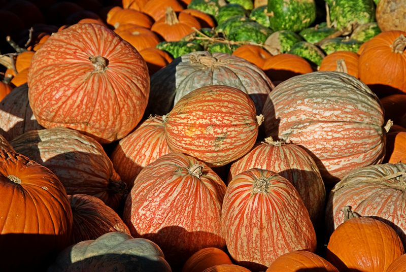 Striped pumpkins