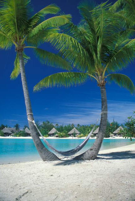  Bora Bora