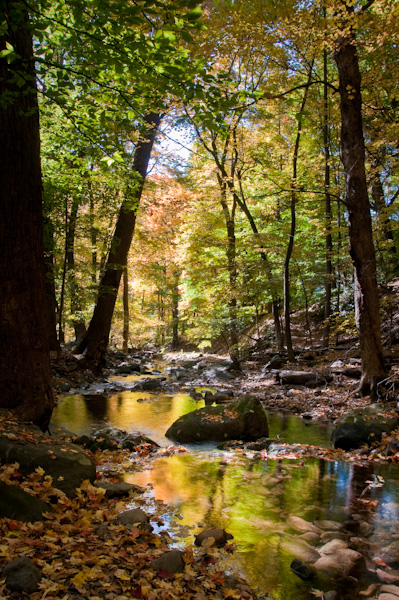Dunnfield Creek 3