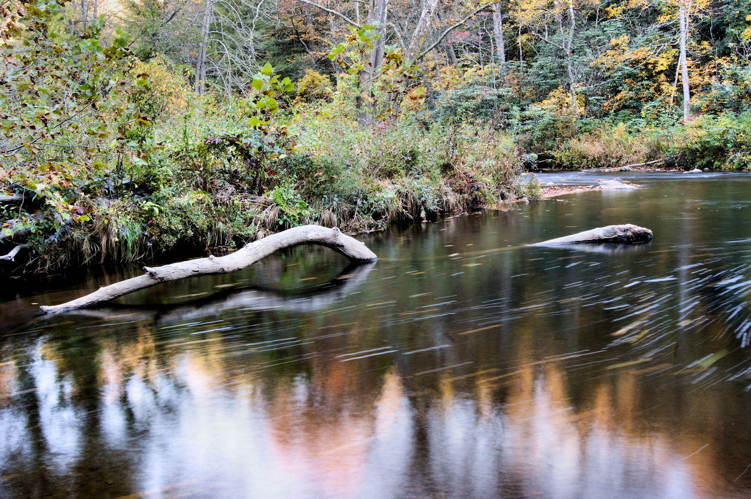 The Lock Ness Monster- Picture made on the Little River