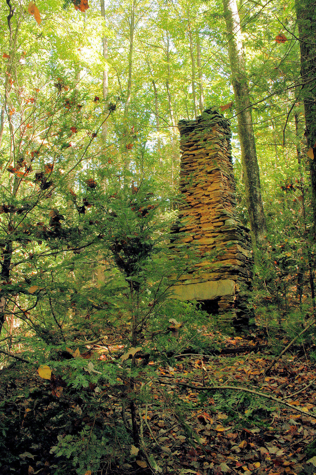 Forgotten places, Old home sit we found on a hike I went on 5Th week-in in Sep