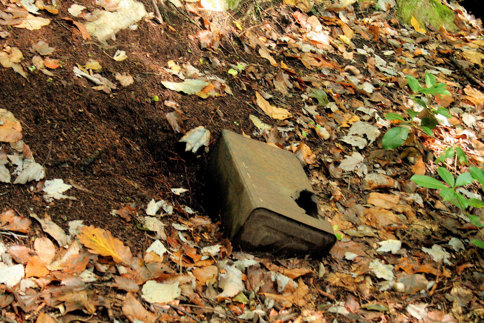 A old Still Site Near The Old Home Places