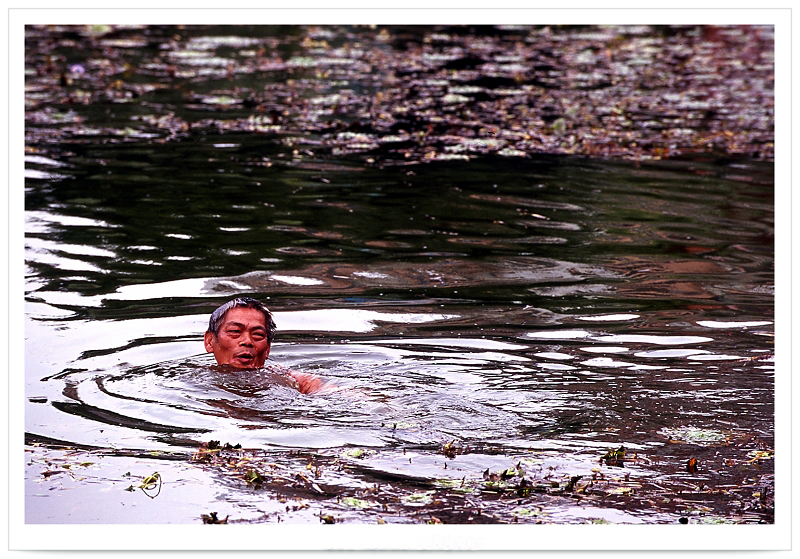 Cleaning up the Pond M