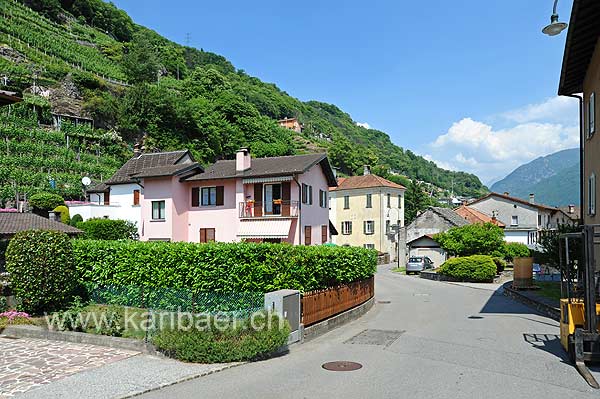 Monte Carasso (111427)