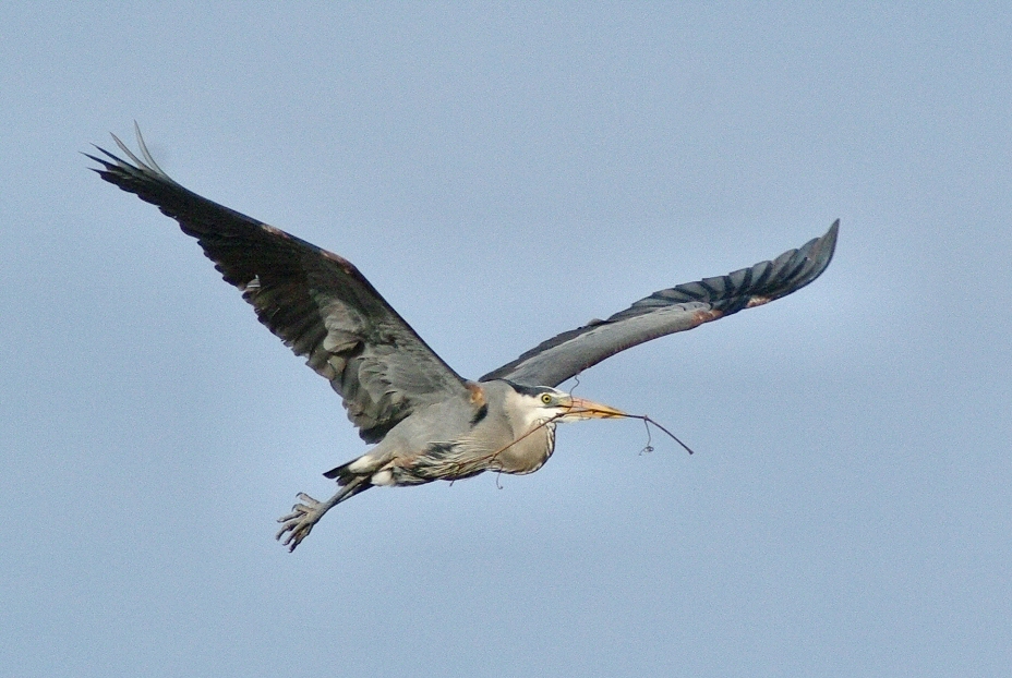 Image6.jpg