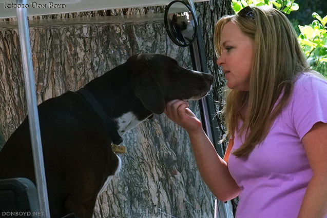 2010 - Karen with Ruger, the Broadmoor Hotels official Water Fowl Control Officer