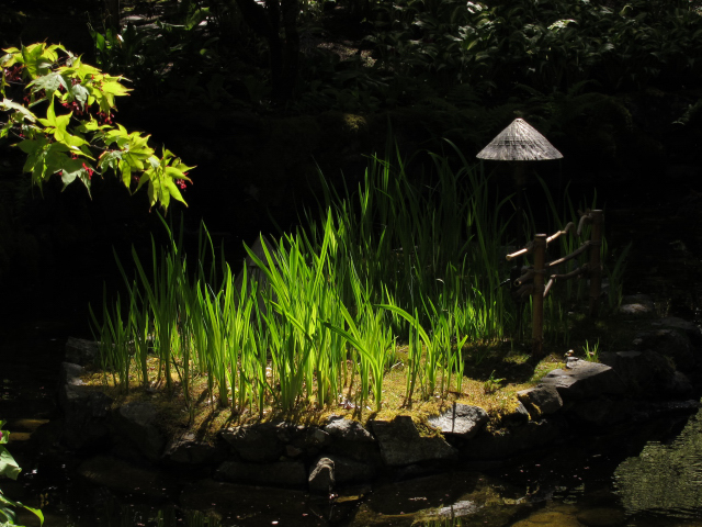 Japanese Garden at Butchart Gardens