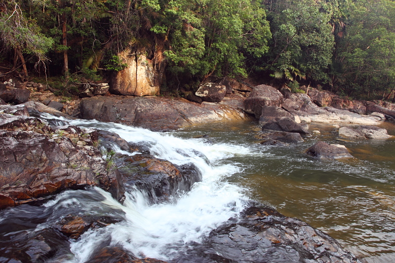 DPP_FSC10046.JPG