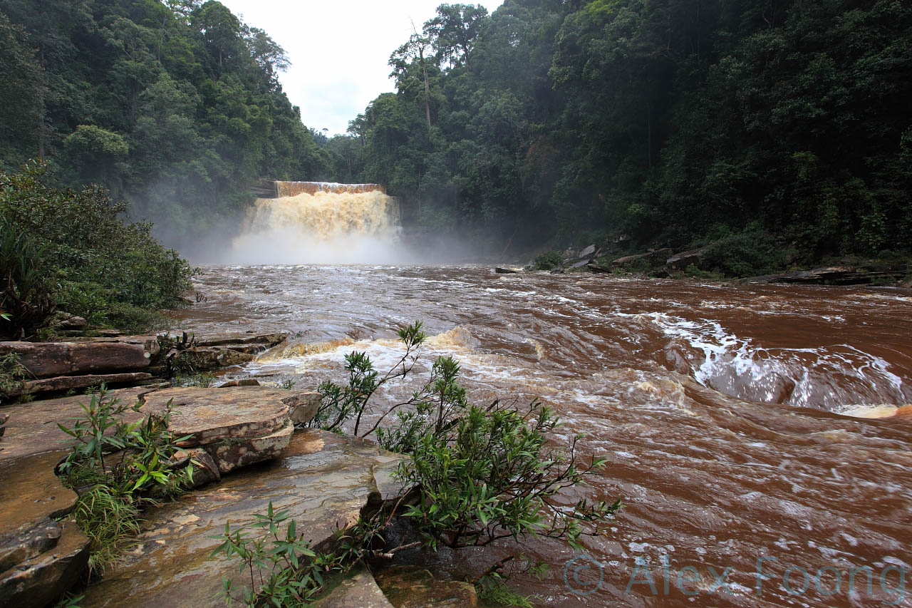 Maliau Falls