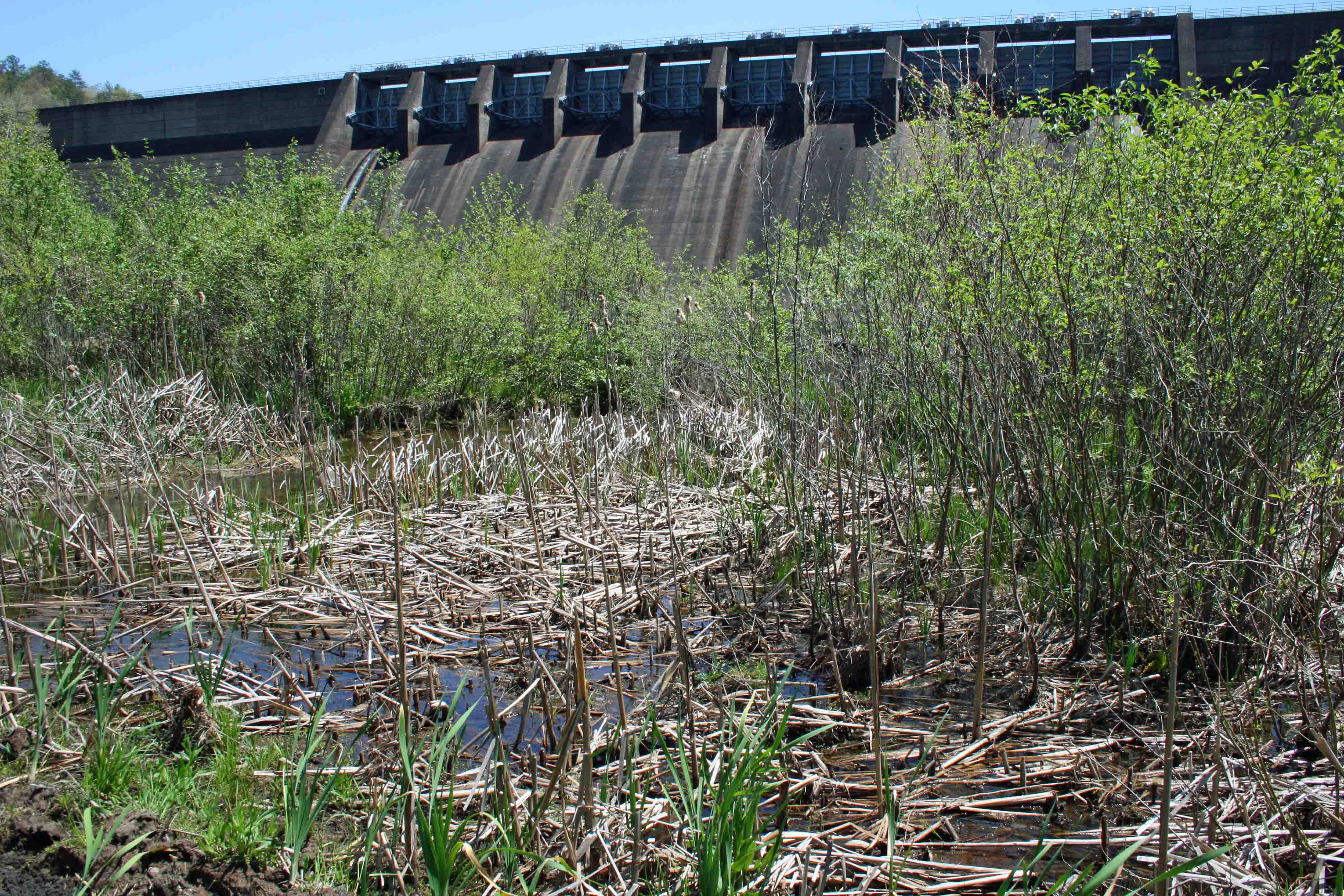 Below The Dam