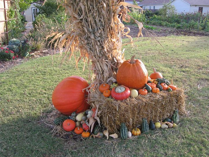 2008_10_18 Landscape, pumpkins\slides\IMG_2329.JPG