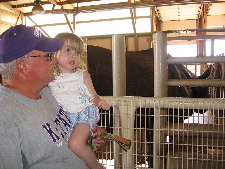 2007_07_07 Gracie Special Day\slides\IMG_0971.JPG