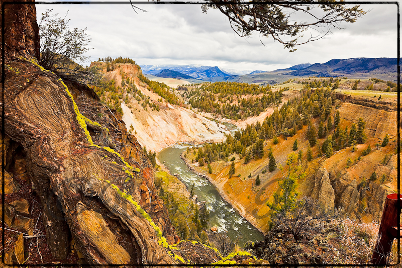 Yellowstone at Calcite Springs Overlook