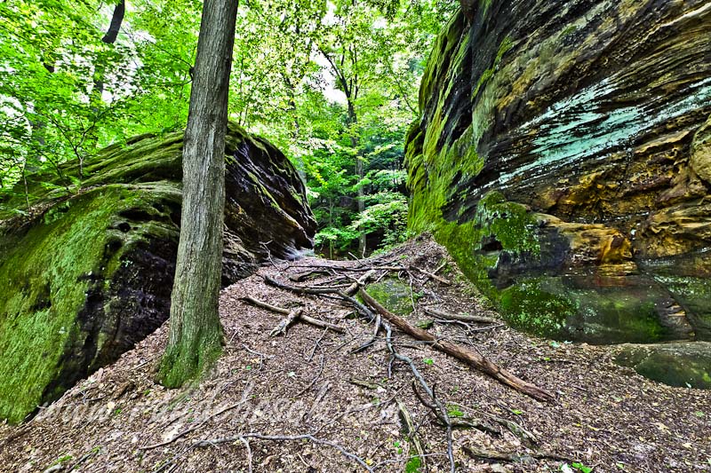 Hard Rocks, Cuyahoga, OH