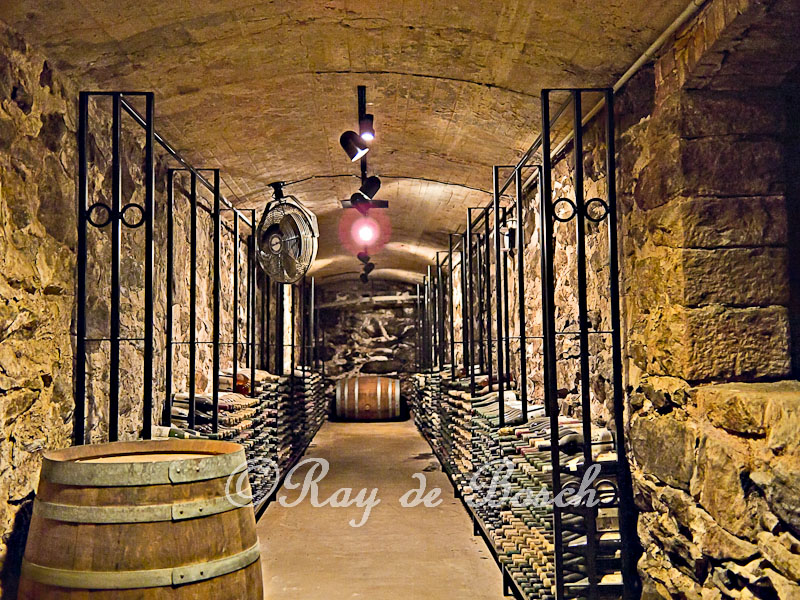  Wine cellar inside the Biltmore Estate