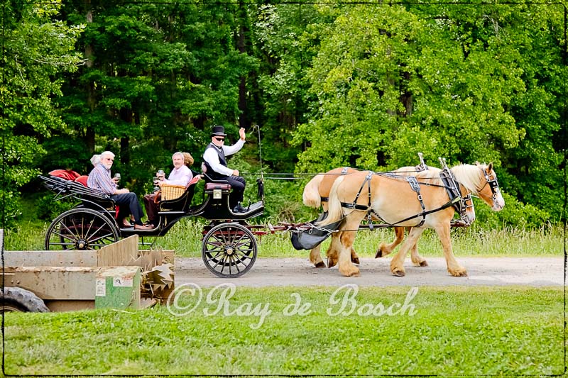 at the Biltmore Estates