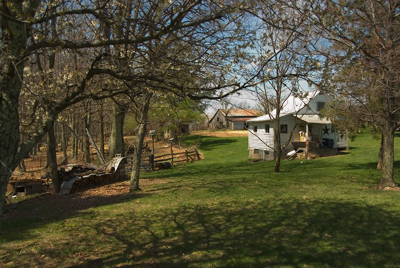 Up on the Farm