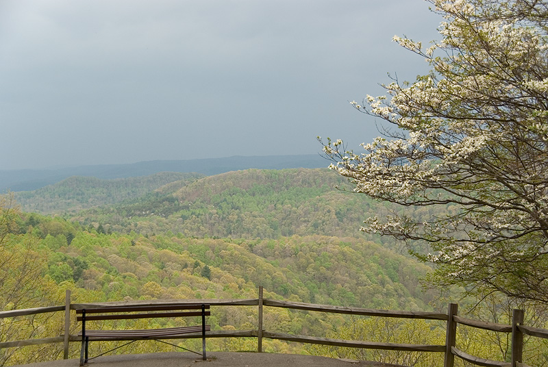 Scenic View