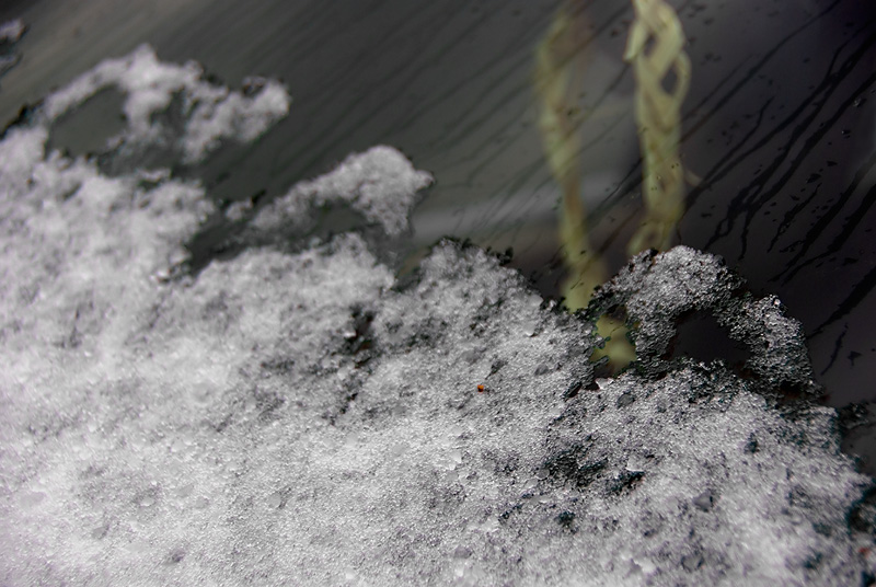 Windshield with Snow