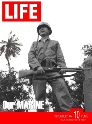 Life Cover 5