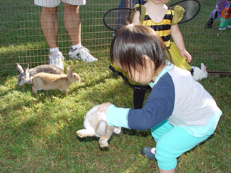 秋季園遊會, 歡歡摸小動物