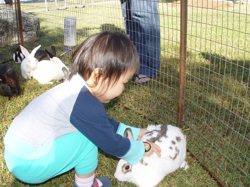 秋季園遊會, 歡歡摸小動物