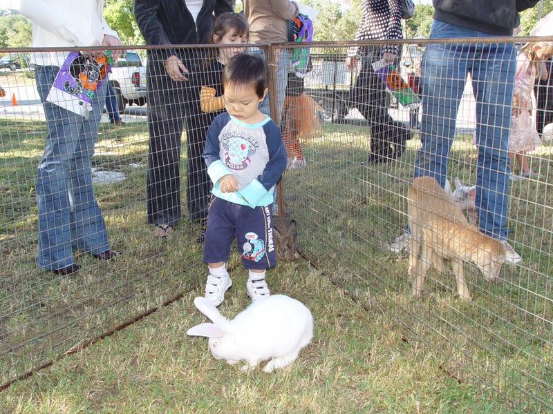 秋季園遊會, 聚聚不敢摸小動物