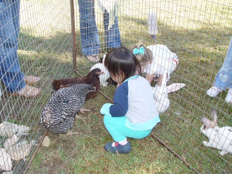秋季園遊會, 歡歡摸小動物