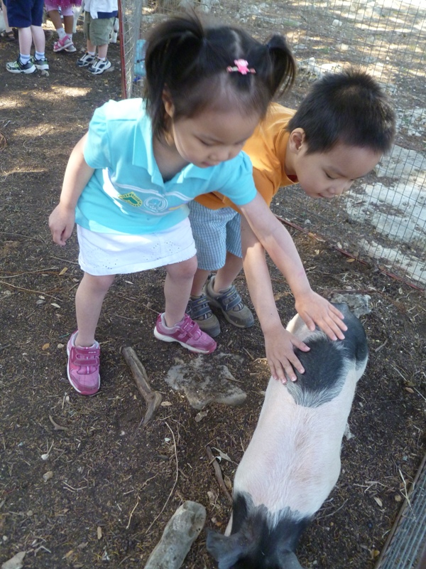 小小動物園