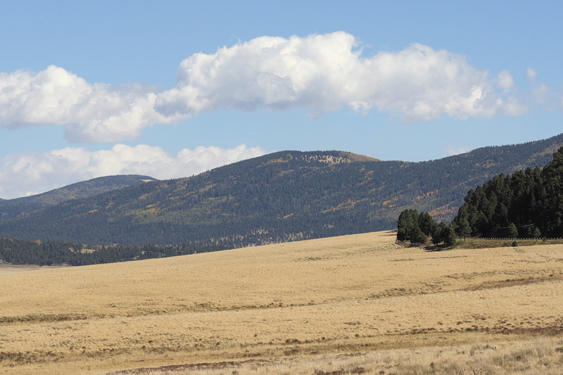 (7341) Valle Grande