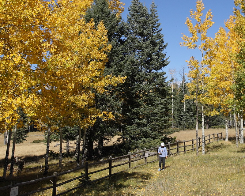 (7356) Scouting for Aspen