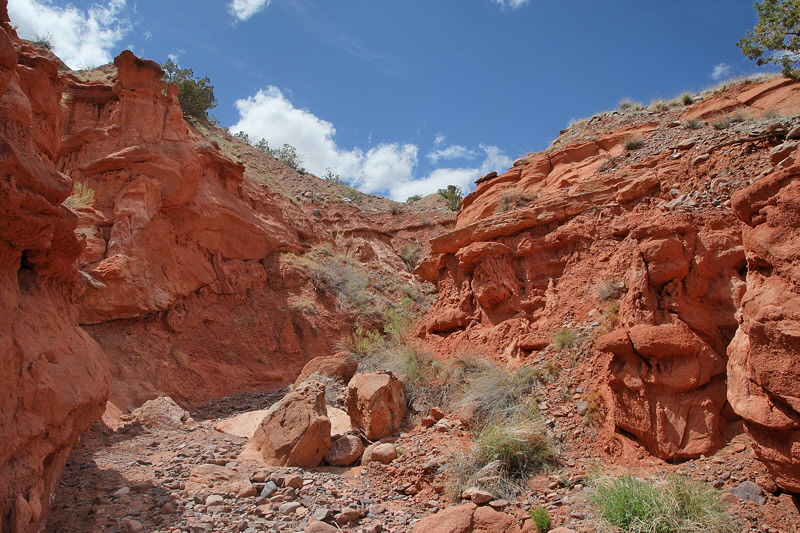 Dry Canyon (7263)
