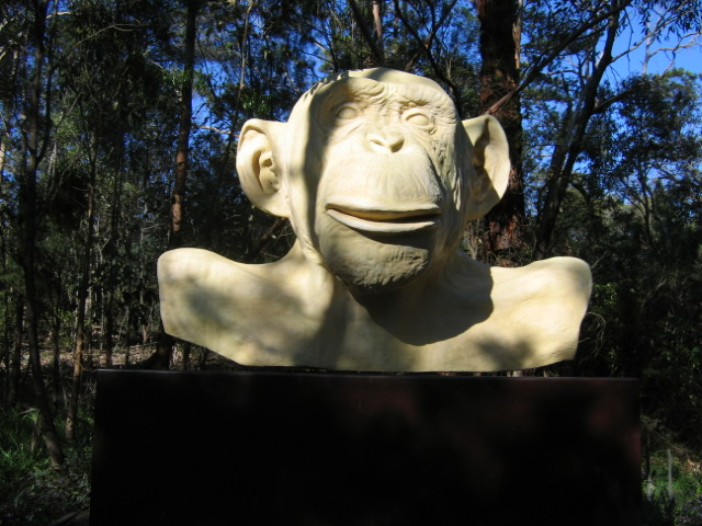The naked ape