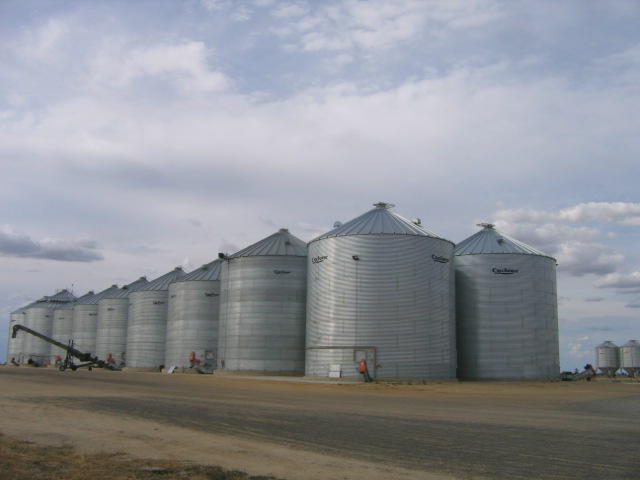 Silos in Jerilderie