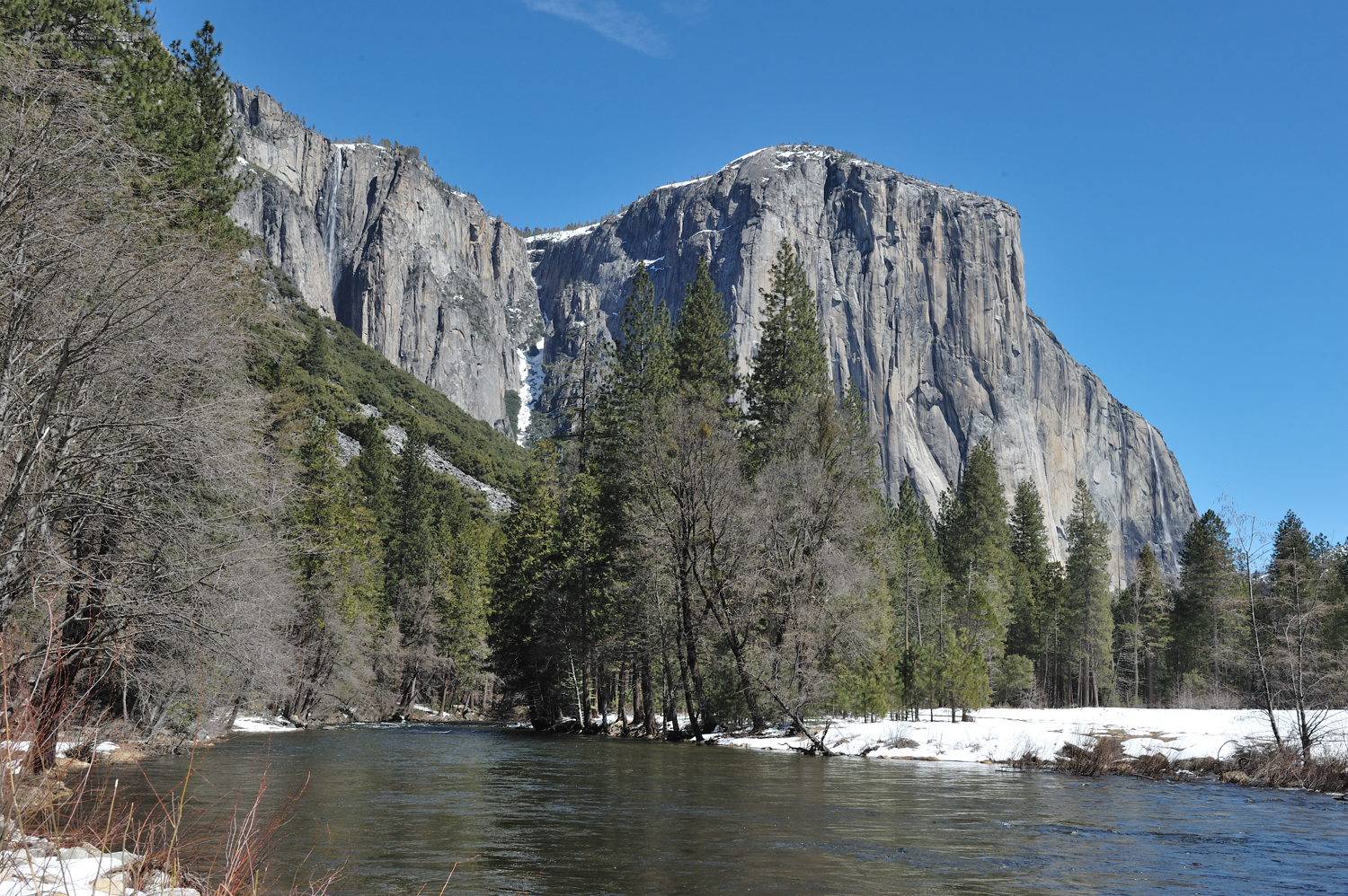 DSC_1568.jpg