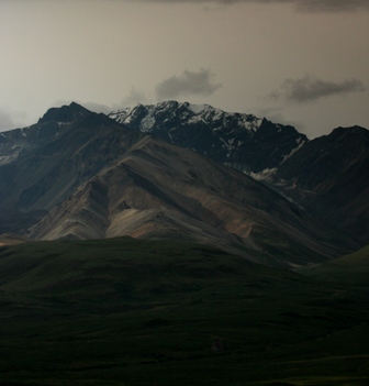 denali national park 02