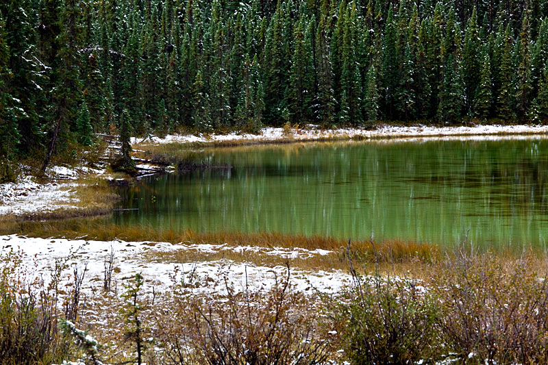 Roadside pond near Jasper