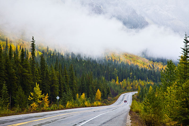Autumn Road