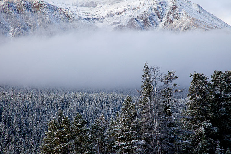 After a snow fall